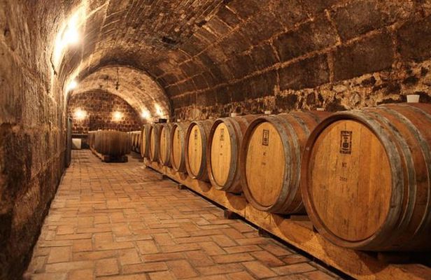 Countryside Half-day Wine Tour near Budapest with Meal and Pickup