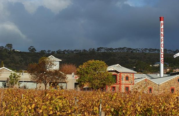 Penfolds Magill Estate Iconic Experience