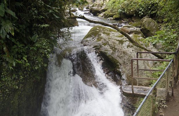 Mindo Cloudforest and Birdwatching from Quito BY ECUADORTREASURE