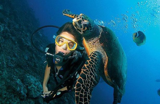 Scuba Diving full of adrenaline in Antalya