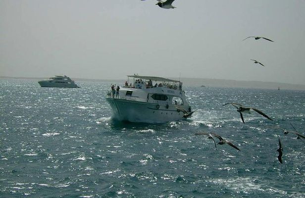 Private sea trip Hurghada