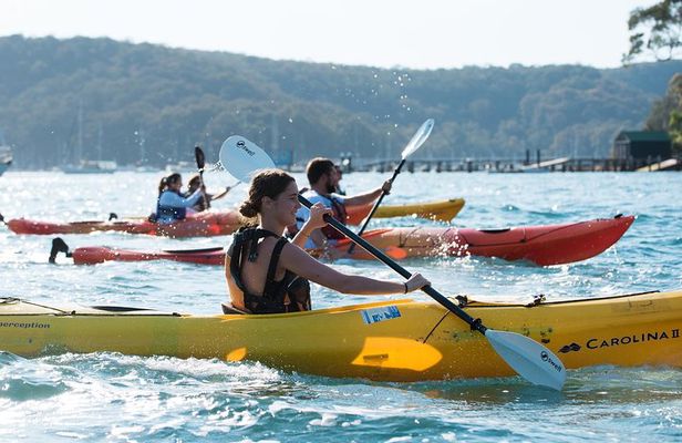 Pittwater Discovery Kayaking Tour