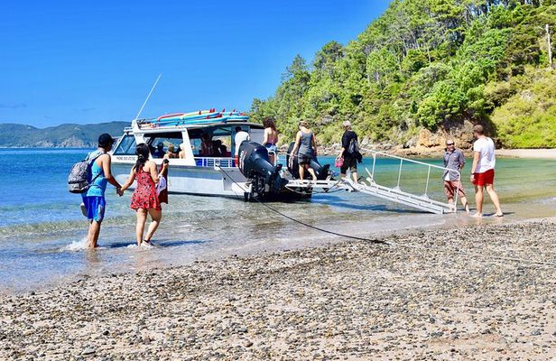 Day Cruise & Island Tour - Snorkel/Wildlife/Paddleboard/Islands