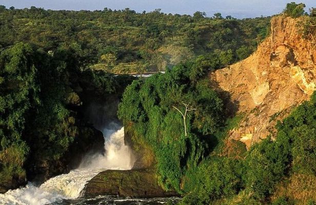 5-Day Murchison Falls, Budongo Chimps, Wildlife Big 5 Safari