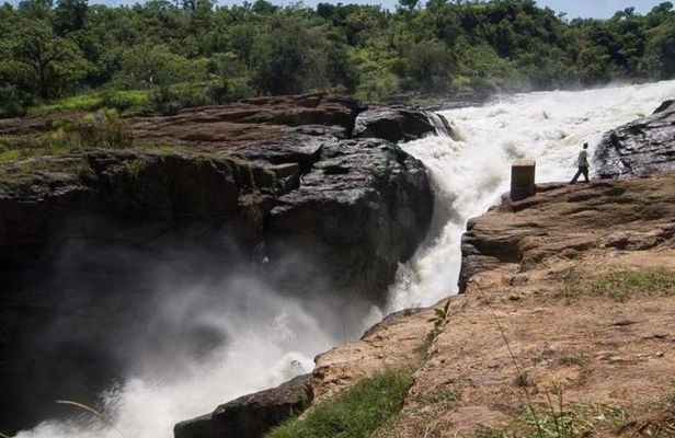 6-Day Murchison Falls and Kidepo NP Wildlife Safari