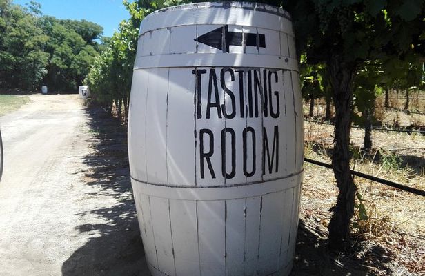 Visit Kirstenbosch, Groot Constantia & Steenberg Vineyards