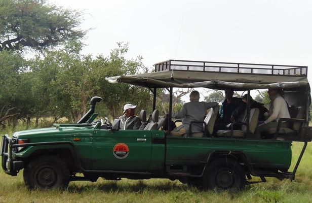 The Best of Botswana & Vic Falls - By Walking Stick Safaris