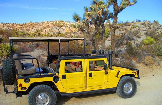 Joshua Tree Open Air Hummer Adventure