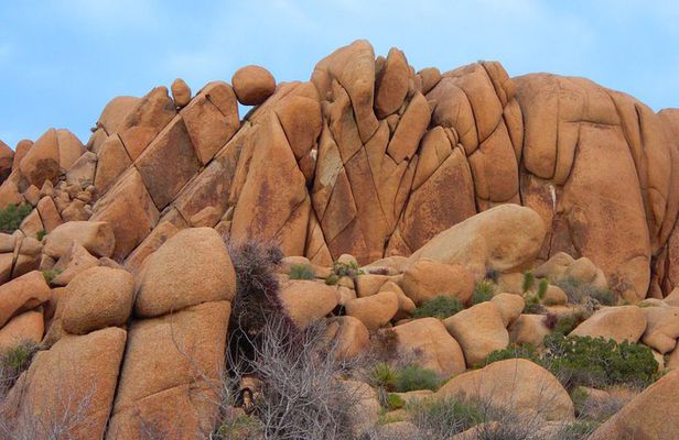 Joshua Tree National Park Scenic Tour