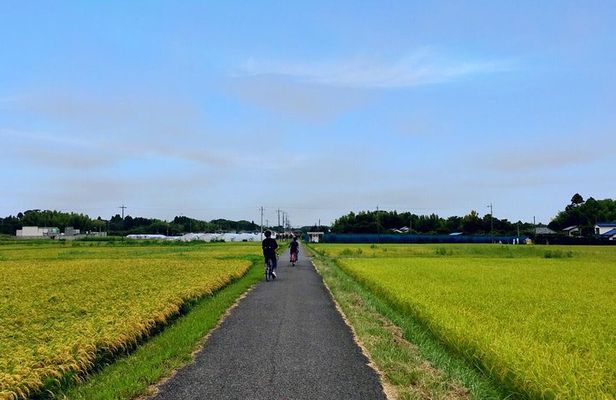 Rural Japan cycling tour to the rich nature area in Ichinomiya