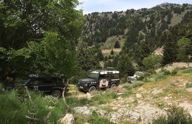 Crete's Wine and Olives Safari Tour from Chania