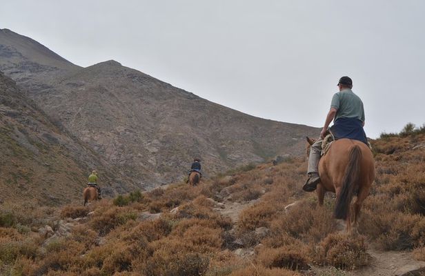 Horseback Ride in the Andes Mountain - Private tour from Santiago