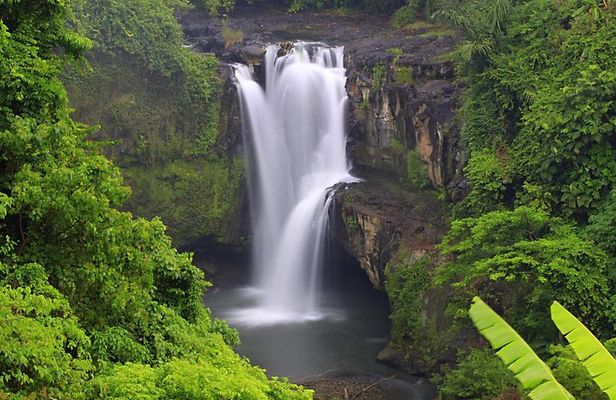 Bali Highlights Private Tour with Elephant Cave and Rice Field