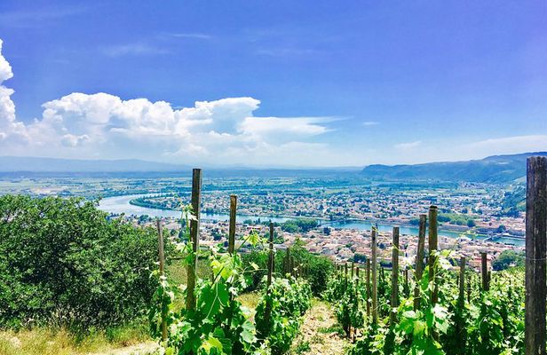 Northern Rhône Valley From Lyon Full day
