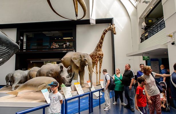 London Natural History Museum Dinosaur Discovery Family Tour