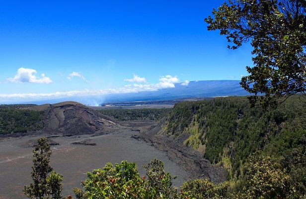 Hawaii Volcanoes National Park and Hilo Highlights Small Group Tour
