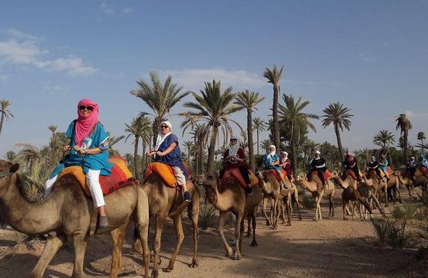 City Tour & Camel Ride