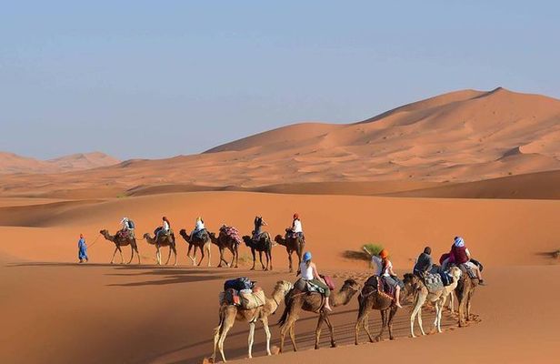 Wonderful Desert Tour From Fes To Merzouga 1 Night 2 Days