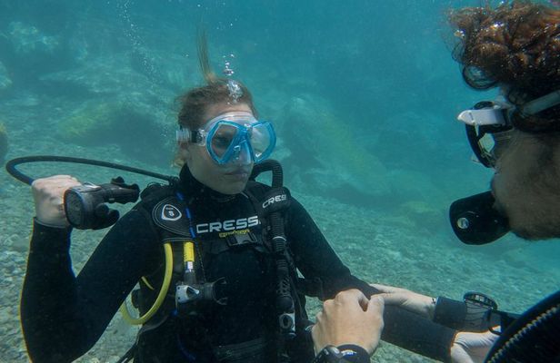 PADI ReActivate, Refresh your scuba skills!
