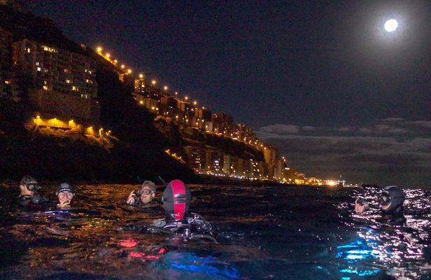 Scuba Night Dive on Tenerife