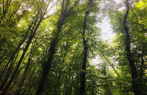 Quba, Gabala and Shaki, 2 days on each city, price for 2 person