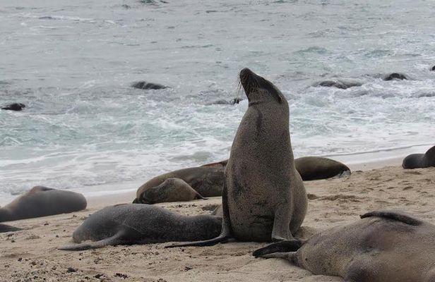 Galapagos Surprising 4 Days