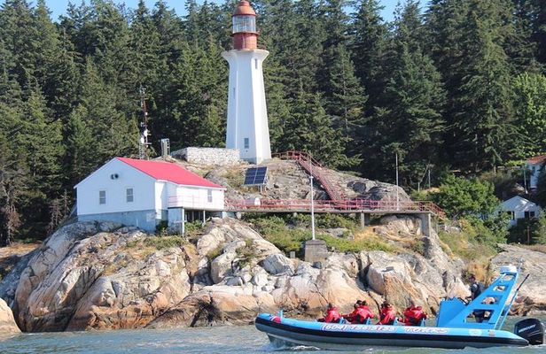 Vancouver City and Seals Scenic Boat Tour by Vancouver Water Adventures