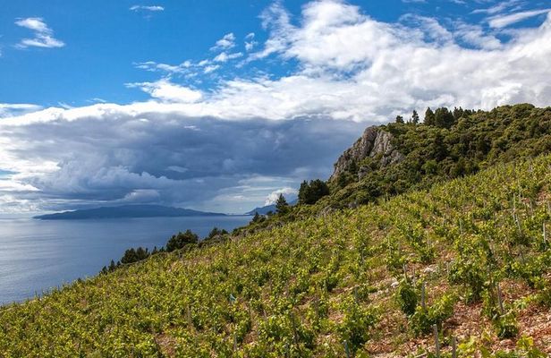 Wine Lover's Tour From Dubrovnik