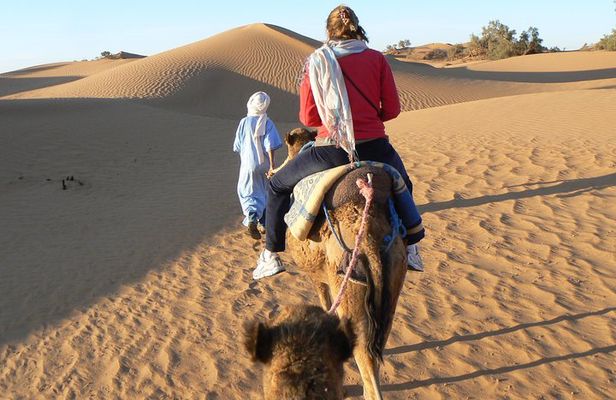 From Marrakech: Private Tour to Oasis and Trekking in the Desert of Erg Chigaga
