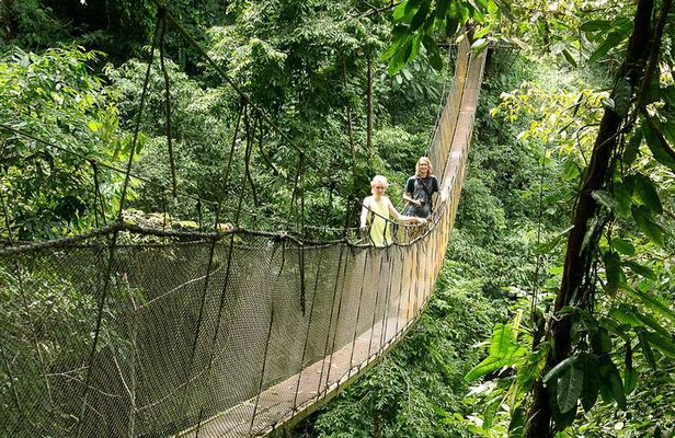Rainmaker Park Hanging Bridges & Waterfalls Tour with Jade Tours