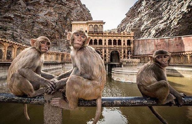 Jaipur Tour By Car & Guide - Private Full Day Sightseeing with Tickets