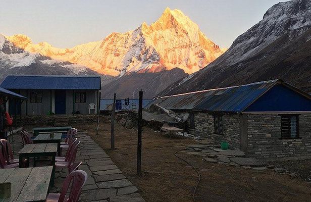 Annapurna Base Camp Treks