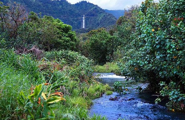 Luxury Helicopter Experience with Hana Rainforest Landing