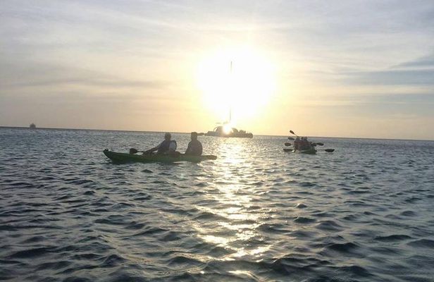 Aruba Night Glass Kayak Tour