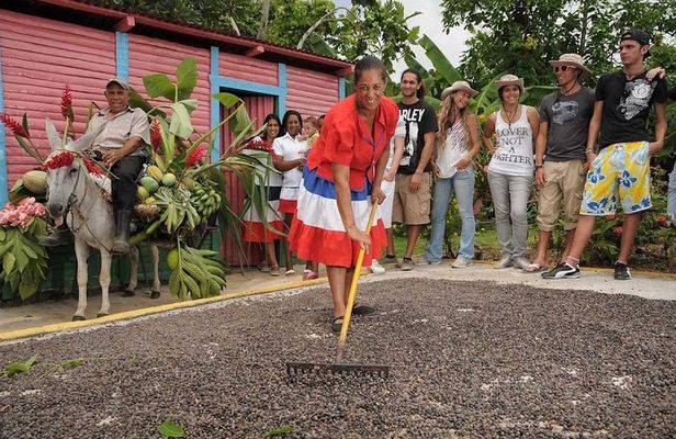 Dominican Republic Countryside Safari Tour from Punta Cana