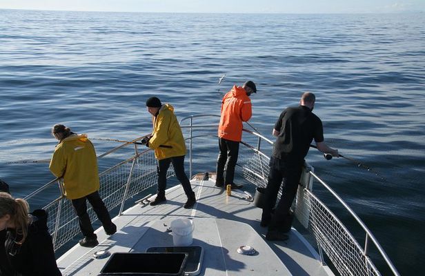 Reykjavik Sea Angling Gourmet