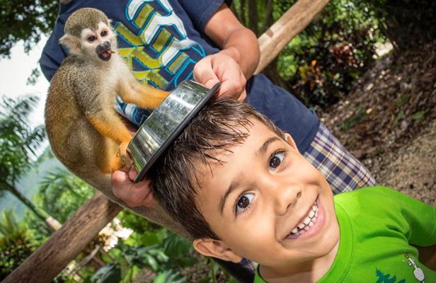 Monkeyland and Plantation Safari Tour from Punta Cana