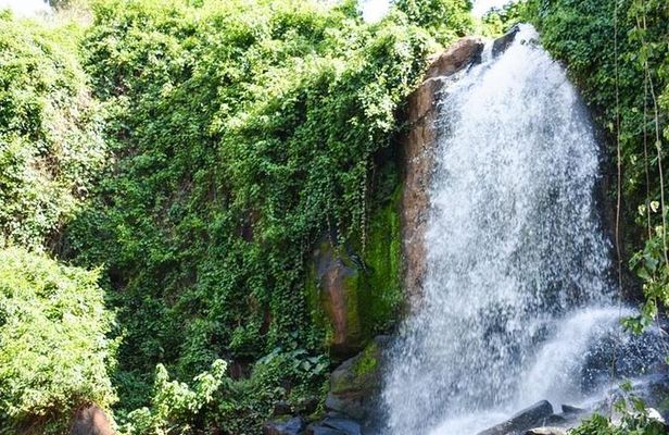 Full Paradise Lost Recreational Day