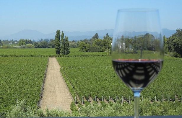 Sonoma and Napa Wine Tour 3 Tastings Included Small-Group Tour