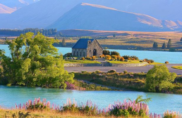 Lake Tekapo and Lake Pukaki Day Tour