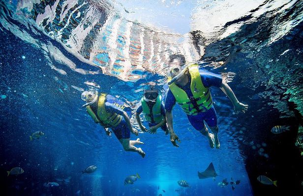 Dubai Lost Chambers Ultimate Snorkel Experience