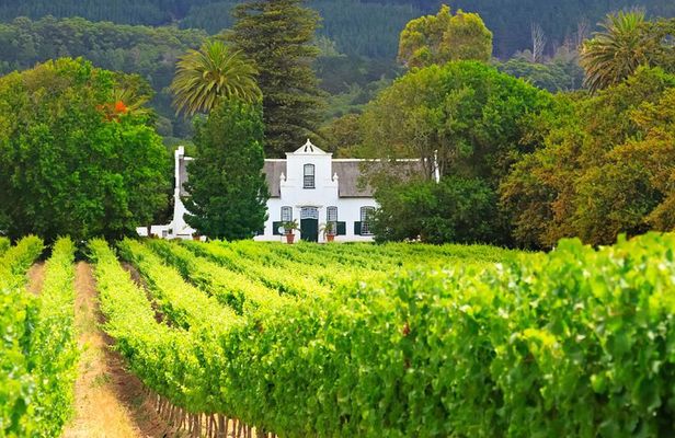 Best of Cape Town Full Day Tour