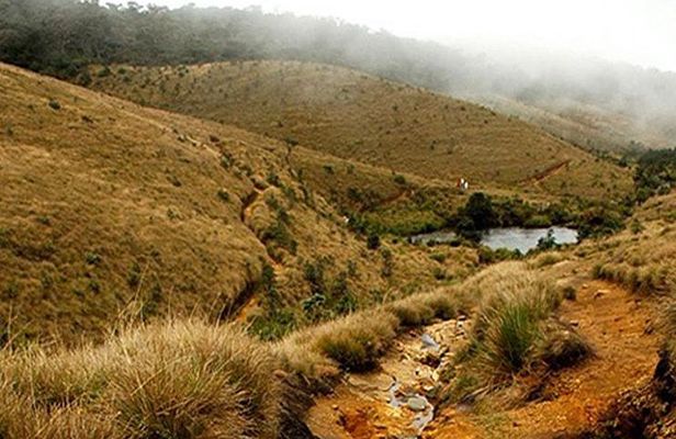 Horton Plains-World's End Tour From Nuwaraeliya