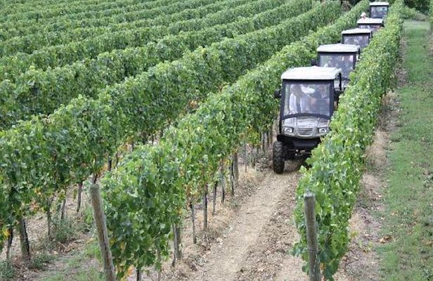 Vineyards tour with Electric Jeep with wine tasting