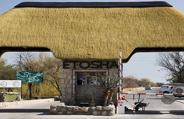 7 Day Namibia Desert, Swakopmund and Etosha National Park Camping