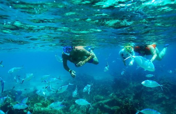 Catamaran Booze Cruise And Snorkeling Punta Cana - Adults Only