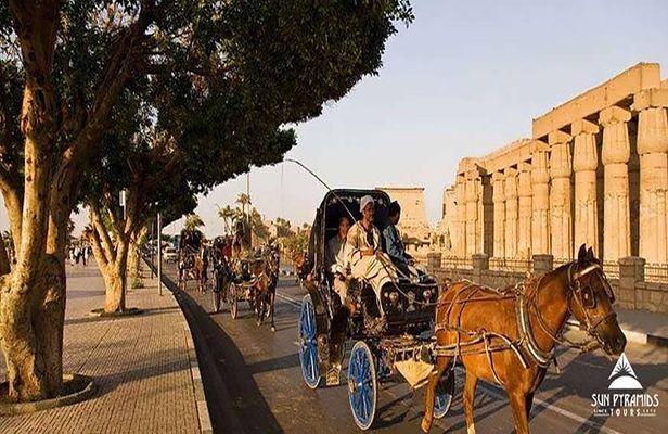 Luxor City Tour By Horse Carriage From West Bank