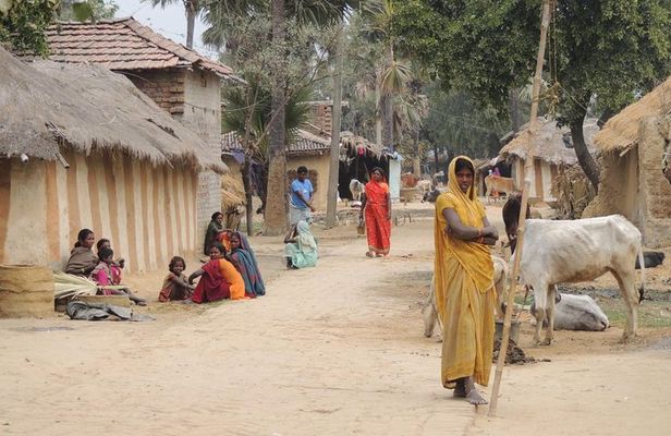 All Inclusive Tribal Village Walk with Visit to Taragram Project from Orchha