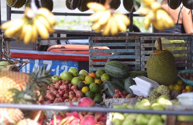 Private Mekong Delta tour to Cai Be – Tan Phong island full day