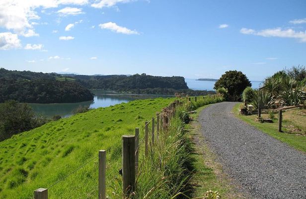 Matakana Scenic Coastal Getaway from Auckland